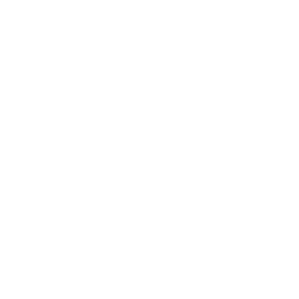 IGI White Logo